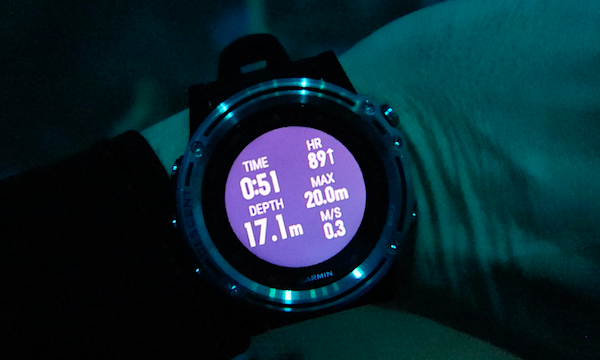 Garmin fenix 5 sales freediving