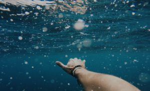apneasurf apnoetauchen fuer surfer freedive your life timo niessner