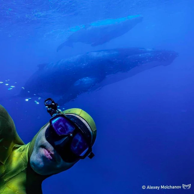 Alexey Molchanov Selfie mit Walen