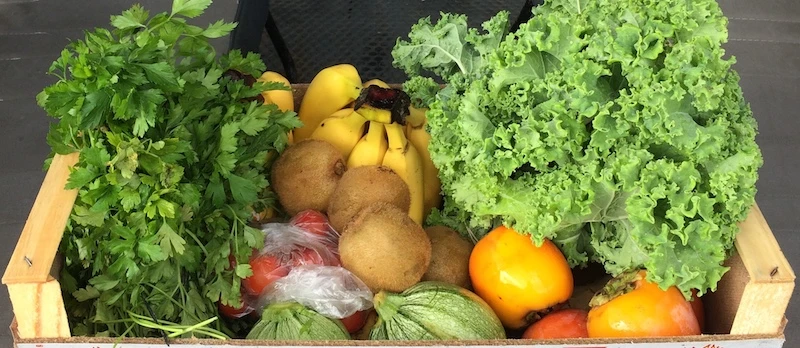 Obst und Gemüsebox für Clean Eating mit Restorative Breathing