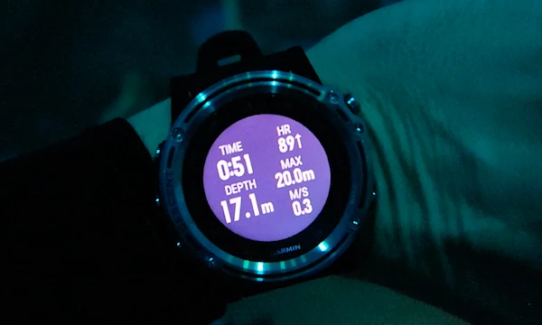 GARMIN DESCENT MK1 Review