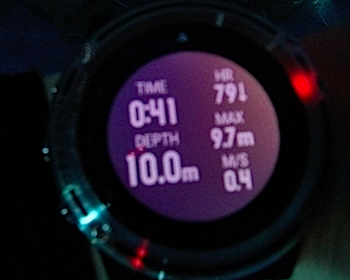 GARMIN DESCENT MK1