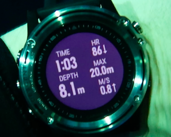 GARMIN DESCENT MK1