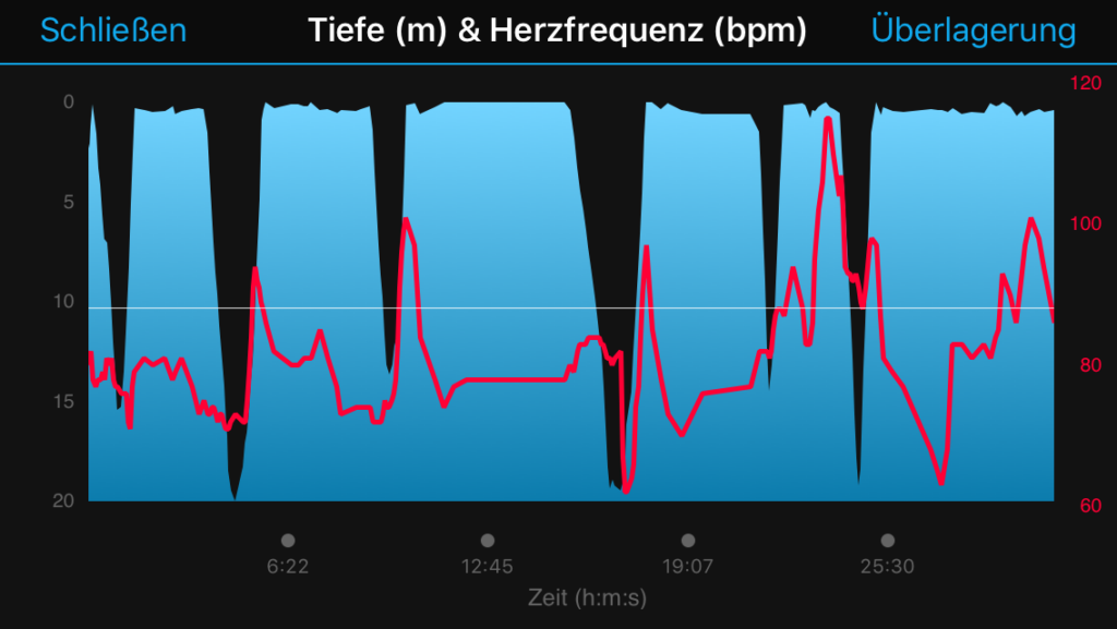 Trainingsdaten GARMIN DESCENT MK1