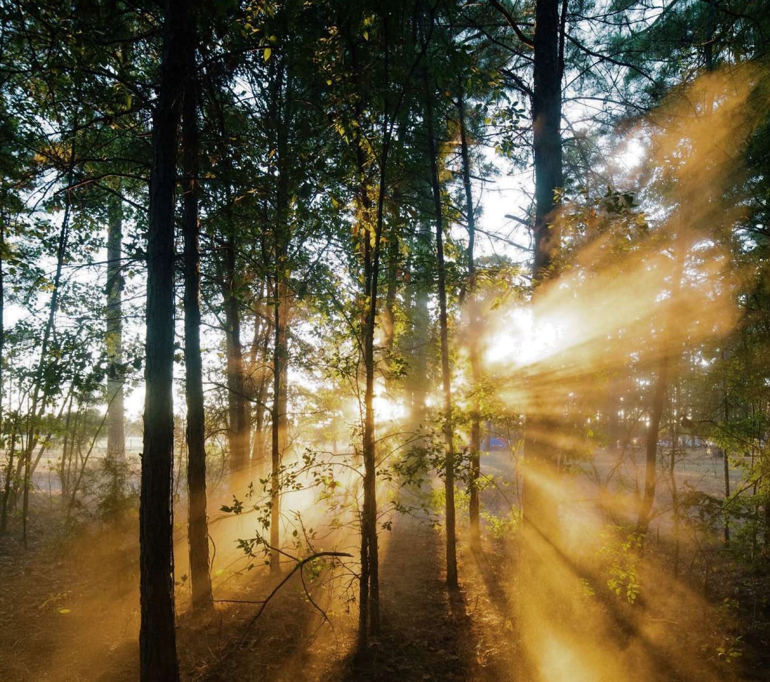 Breathwork Retreat Rosenhof